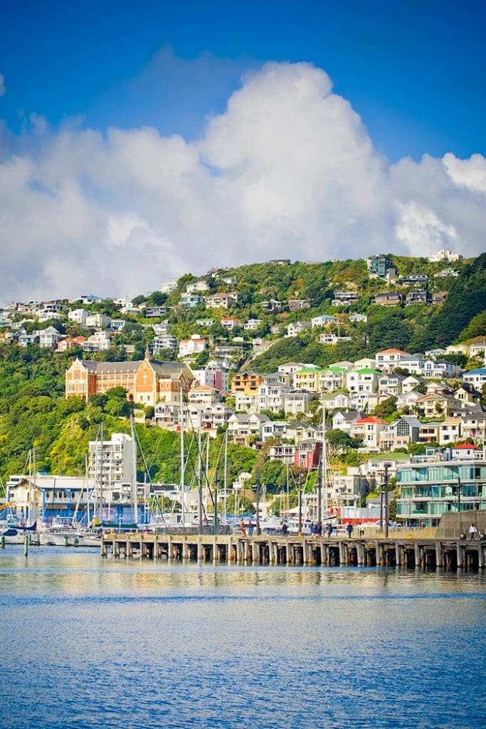 m2woman-mt-victoria-wellington-date