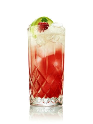 Hendricks Gin - favourite cocktails