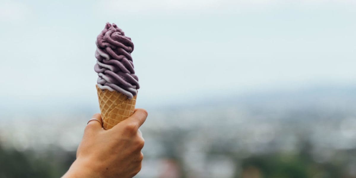 Real fruit ice cream Real fruit ice cream