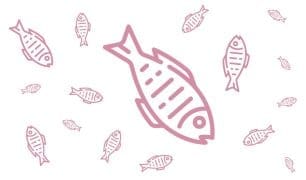 Fish Fish