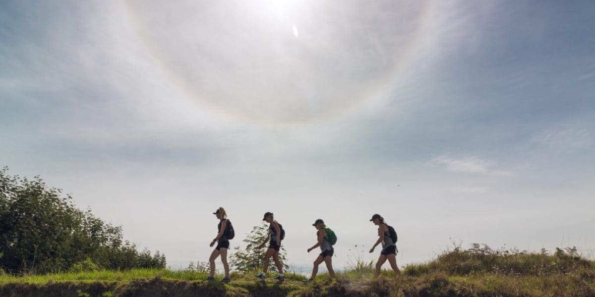 OTW17 All MR-215 (1) OTW17 All MR-215 (1)