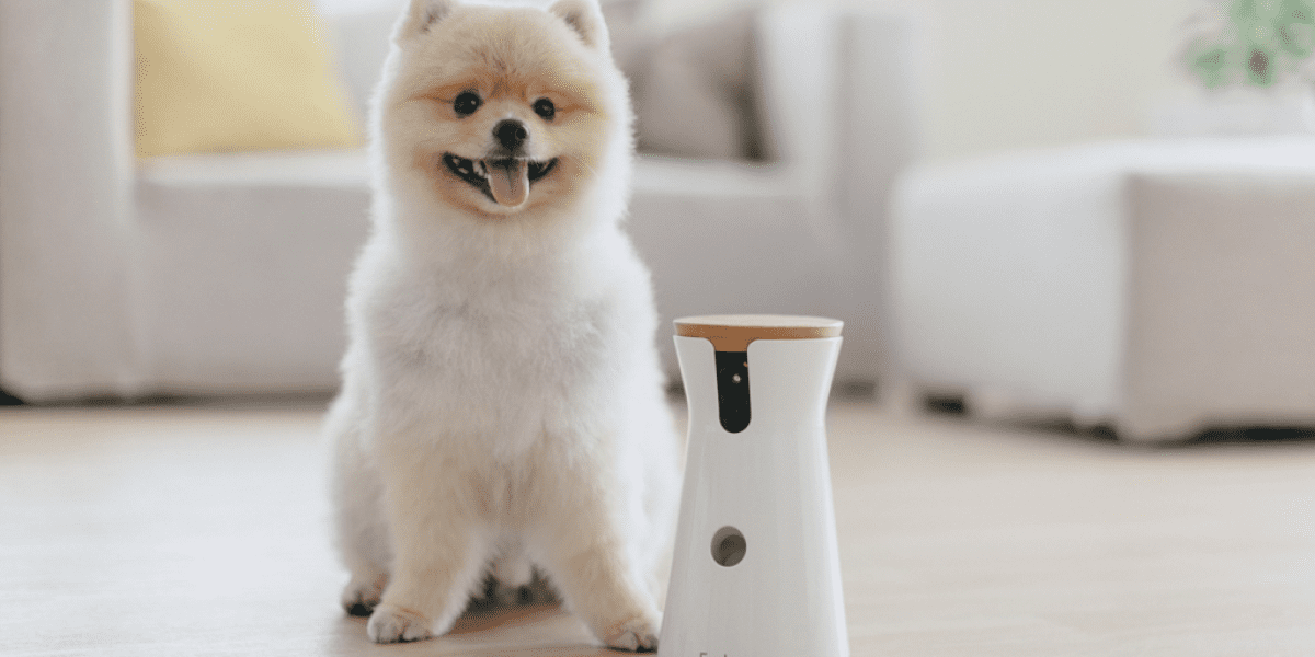 05073812fa2ab924356c76aa56f15238720f9dff m2woman-summer-21-furbo