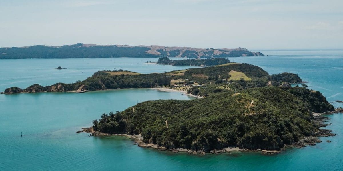 M2woman - Rotoroa and Tiritiri Matangi Islands - Sanctuaries in Birdsong m2woman-rangitoto-tiritiri-matangi-island