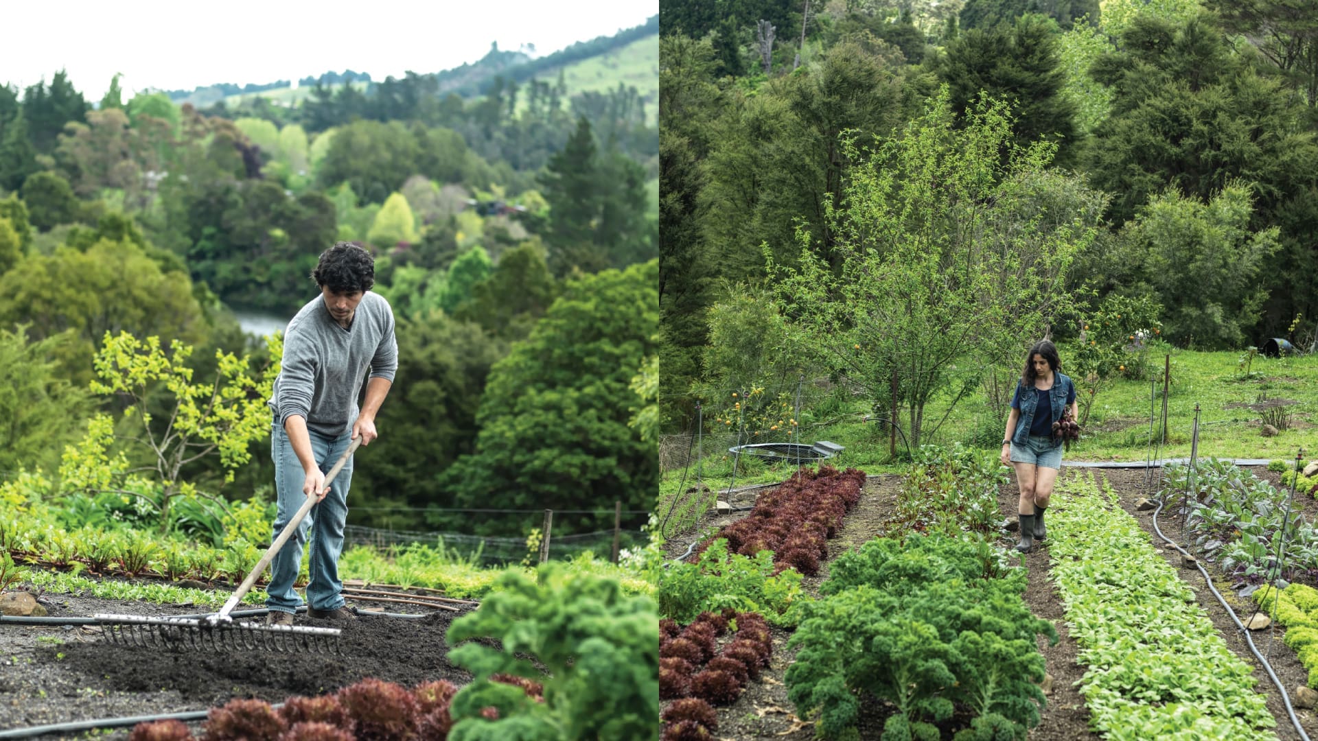 Niva and Yotam Kay - The Abundant Garden - M2woman