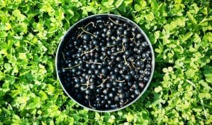 M2woman.com - Savar: Boundless Beauty Sávar-boundless-beauty - M2woman