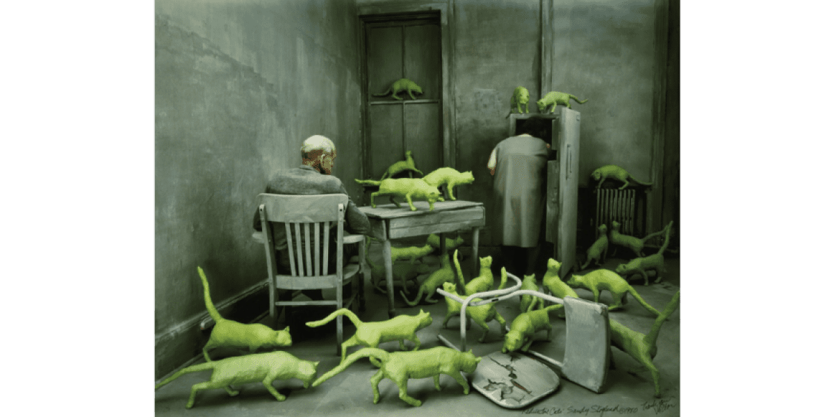 Sandy Skoglund