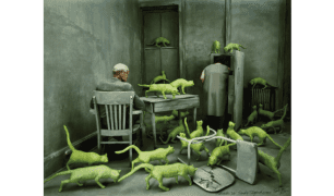 Sandy Skoglund