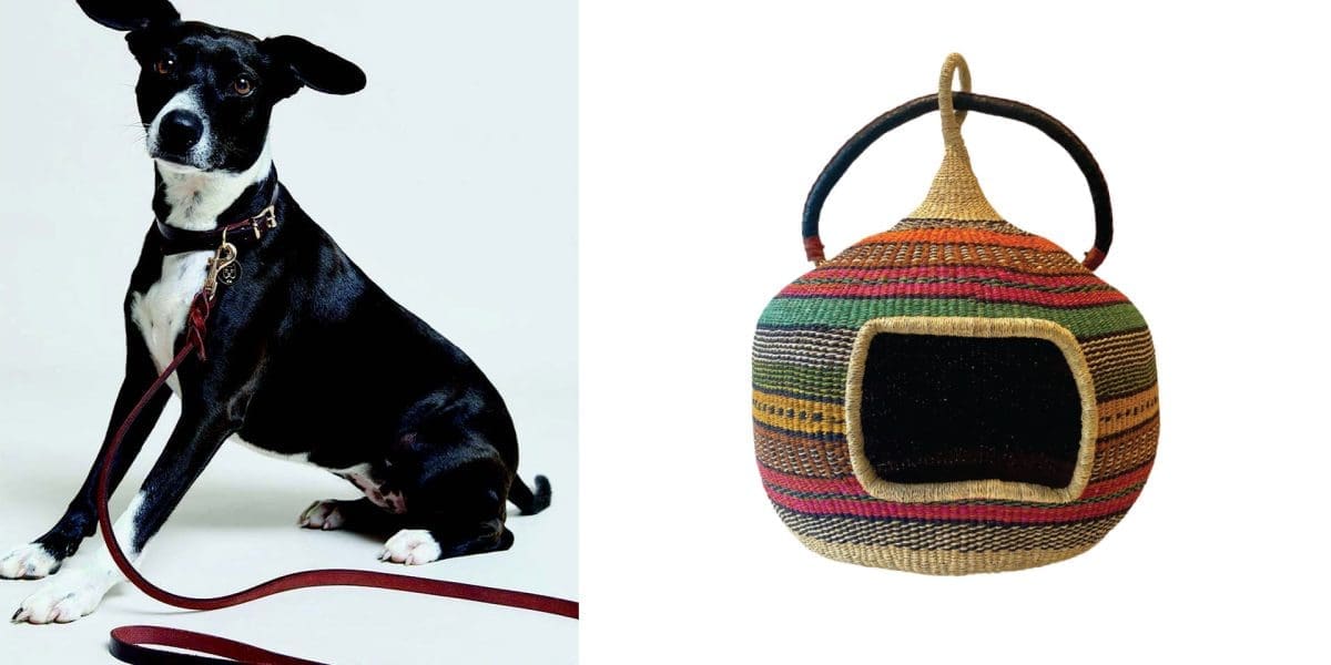 M2woman.com - Interior Design Inspo: Man's Best Friend M2woman.com - Interior Design Inspo: Man's Best Friend