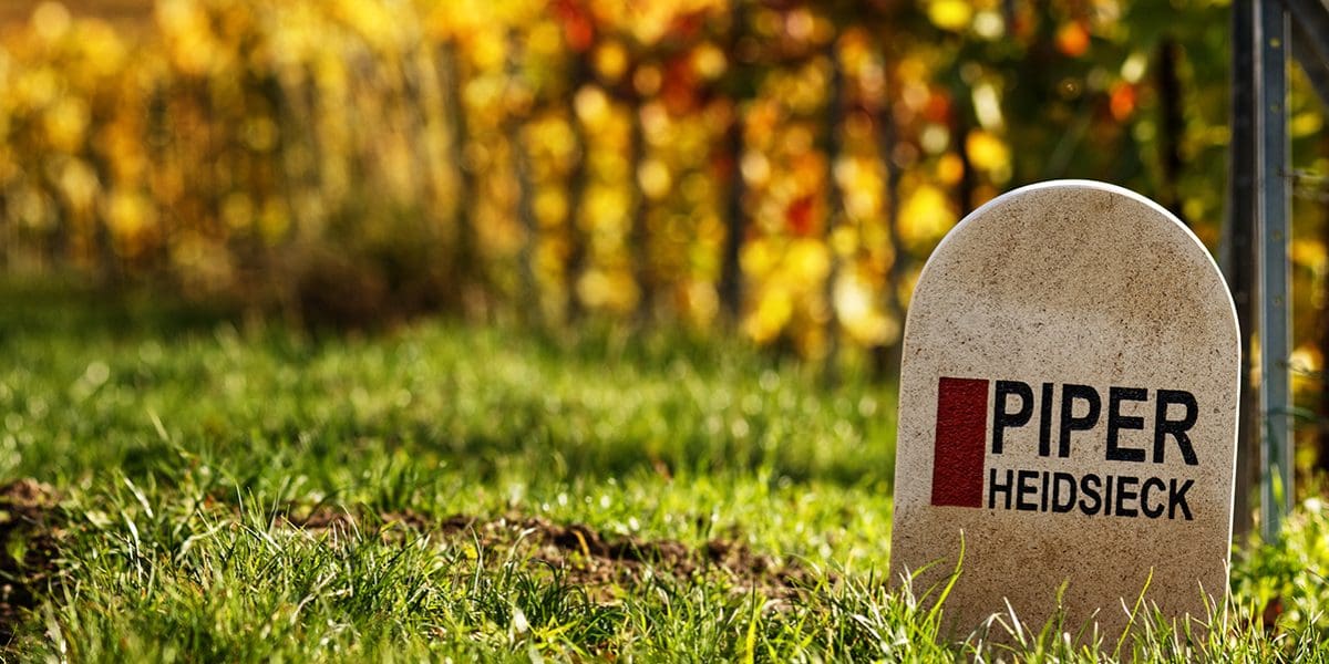 M2woman.com - A 360-Degree View of Sustainability M2woman.com - A 360-Degree View of Sustainability