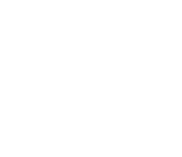 Journey To Excellence