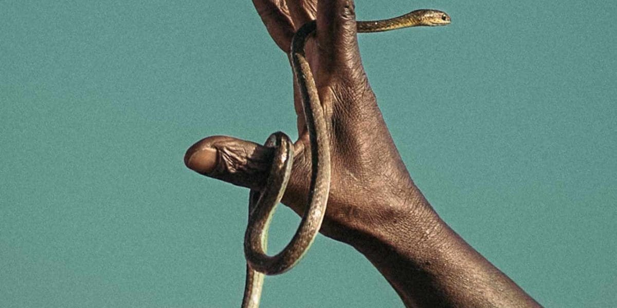 2953_7935_LorraineTurci_France_Professional_Perspectives_2025